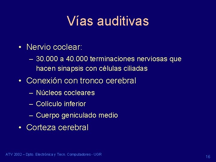 Vías auditivas • Nervio coclear: – 30. 000 a 40. 000 terminaciones nerviosas que