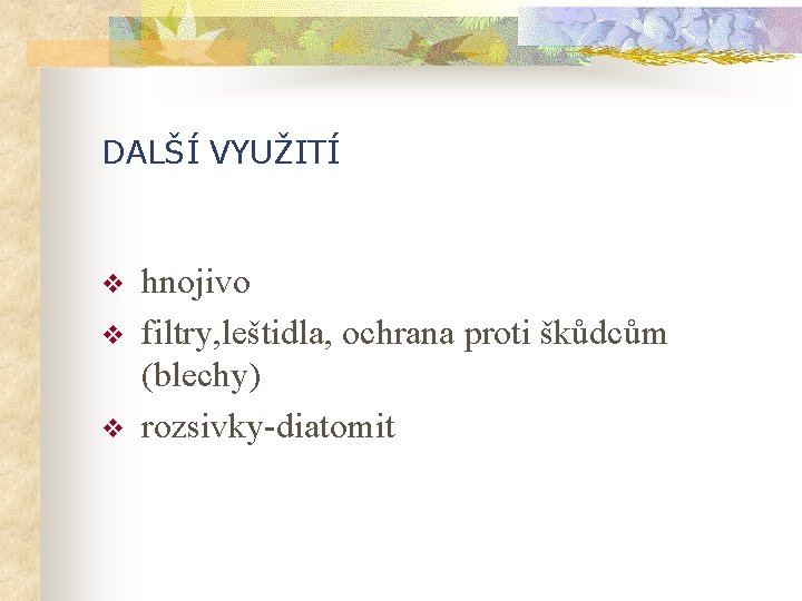 DALŠÍ VYUŽITÍ v v v hnojivo filtry, leštidla, ochrana proti škůdcům (blechy) rozsivky-diatomit 