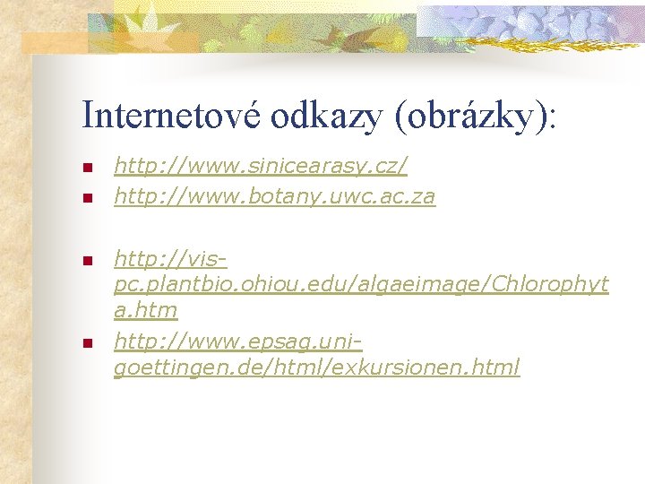 Internetové odkazy (obrázky): n n http: //www. sinicearasy. cz/ http: //www. botany. uwc. ac.