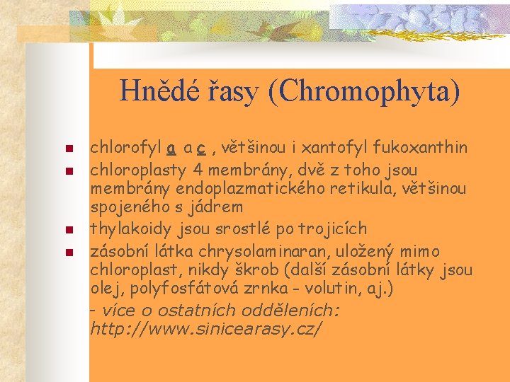 Hnědé řasy (Chromophyta) chlorofyl a a c , většinou i xantofyl fukoxanthin n chloroplasty