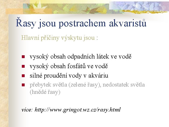 Řasy jsou postrachem akvaristů Hlavní příčiny výskytu jsou : n n vysoký obsah odpadních