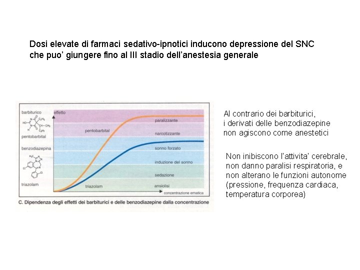 Dosi elevate di farmaci sedativo-ipnotici inducono depressione del SNC che puo’ giungere fino al