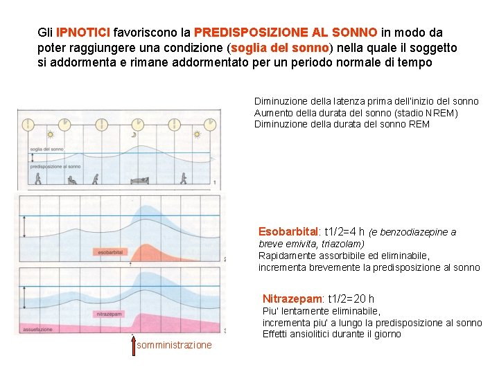 Gli IPNOTICI favoriscono la PREDISPOSIZIONE AL SONNO in modo da poter raggiungere una condizione