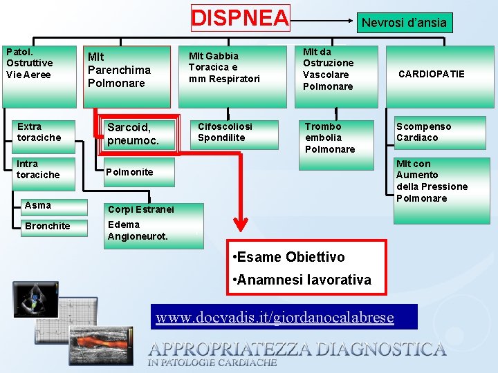 DISPNEA Patol. Ostruttive Vie Aeree Mlt Parenchima Polmonare Extra toraciche Sarcoid, pneumoc. Intra toraciche