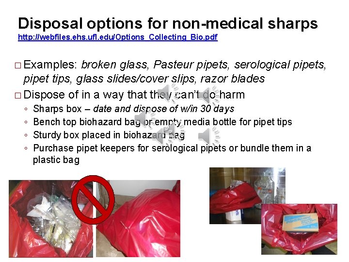 Disposal options for non-medical sharps http: //webfiles. ehs. ufl. edu/Options_Collecting_Bio. pdf � Examples: broken