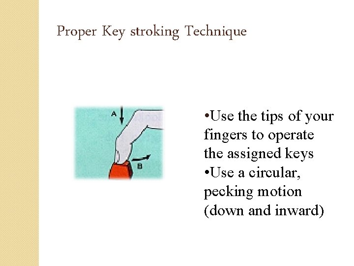 Proper Key stroking Technique • Use the tips of your fingers to operate the