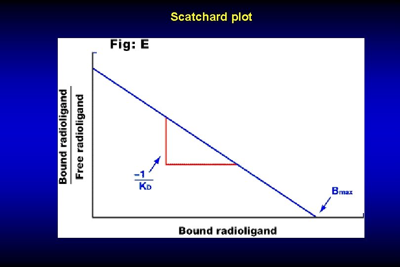 Scatchard plot 