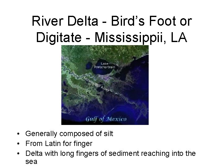River Delta - Bird’s Foot or Digitate - Mississippii, LA • Generally composed of