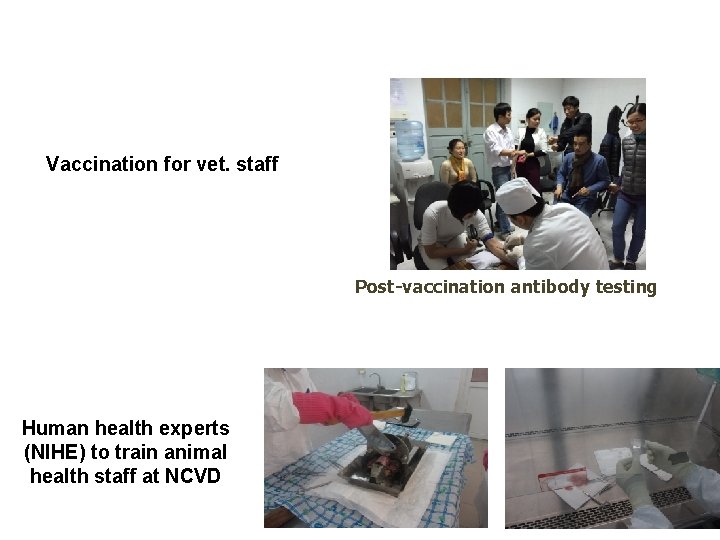 Vaccination for vet. staff Post-vaccination antibody testing Human health experts (NIHE) to train animal