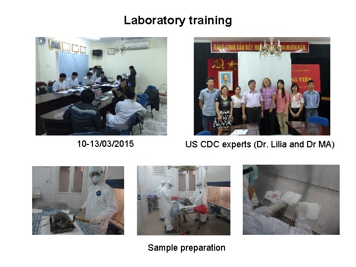 Laboratory training 10 -13/03/2015 US CDC experts (Dr. Lilia and Dr MA) Sample preparation