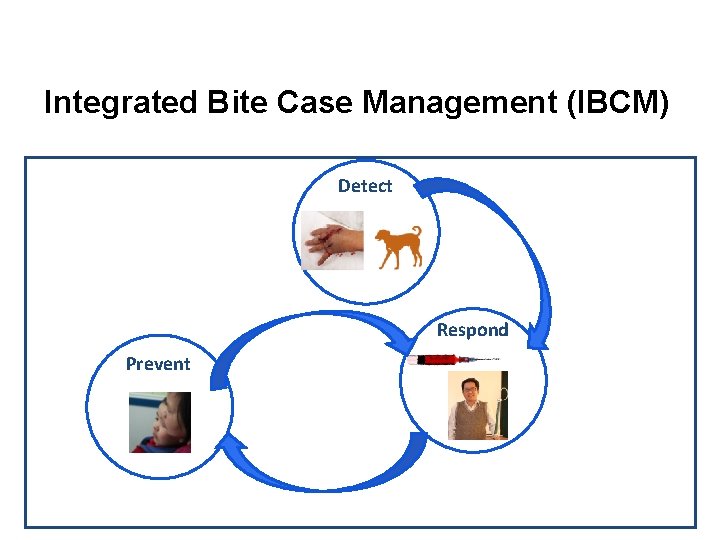 Integrated Bite Case Management (IBCM) Detect Respond Prevent 