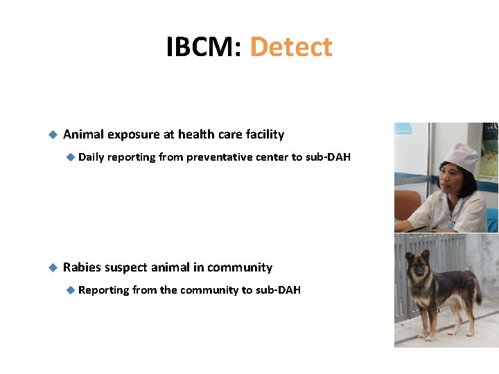 IBCM: Detect Animal exposure at health care facility Daily reporting from preventative center to