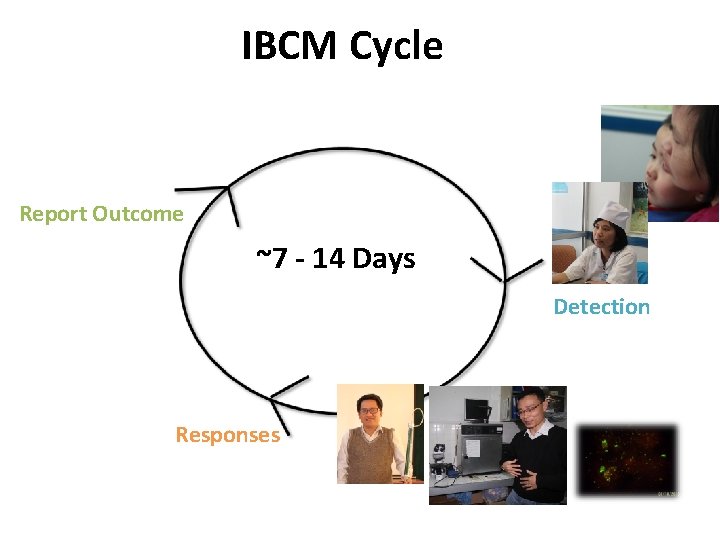 IBCM Cycle Report Outcome ~7 - 14 Days Detection Responses 