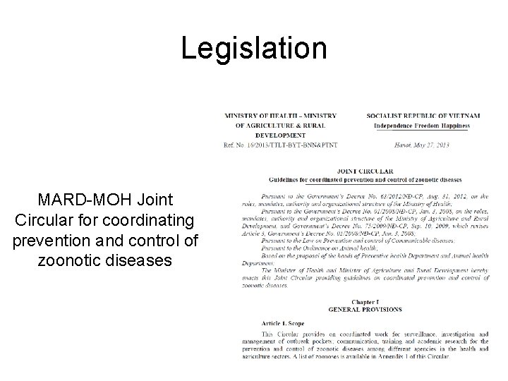 Legislation MARD-MOH Joint Circular for coordinating prevention and control of zoonotic diseases 