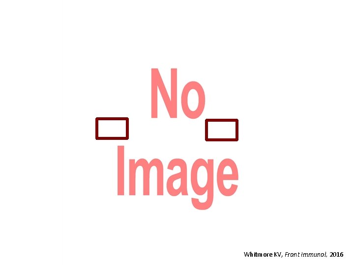 Whitmore KV, Front Immunol, 2016 