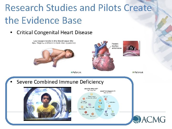 Research Studies and Pilots Create the Evidence Base • Critical Congenital Heart Disease •