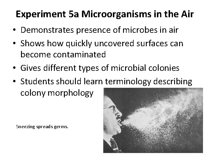 Experiment 5 a Microorganisms in the Air • Demonstrates presence of microbes in air