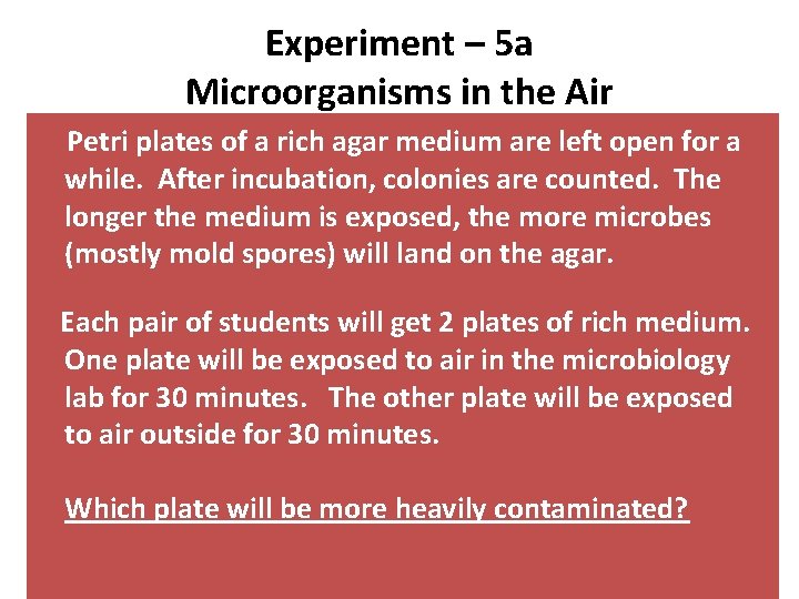 Experiment – 5 a Microorganisms in the Air Petri plates of a rich agar