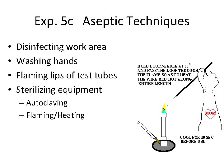 Exp. 5 c Aseptic Techniques • • Disinfecting work area Washing hands Flaming lips
