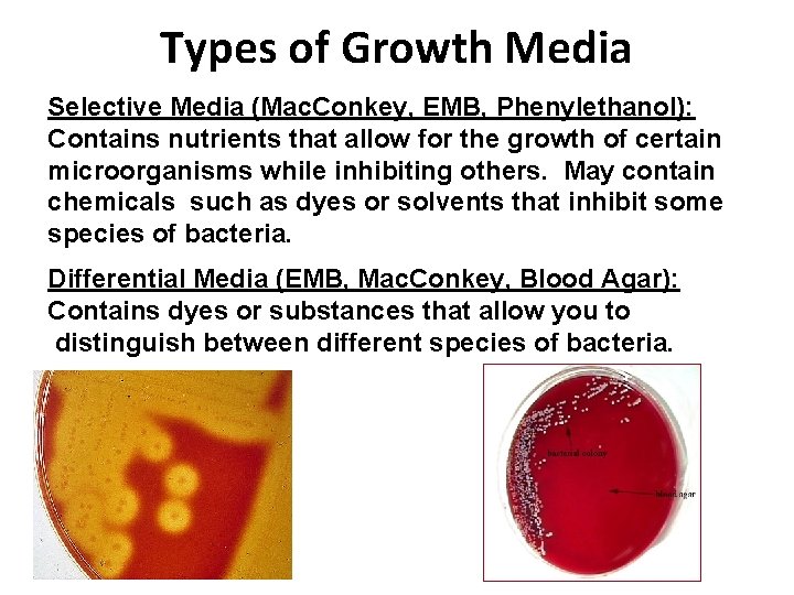 Types of Growth Media Selective Media (Mac. Conkey, EMB, Phenylethanol): Contains nutrients that allow