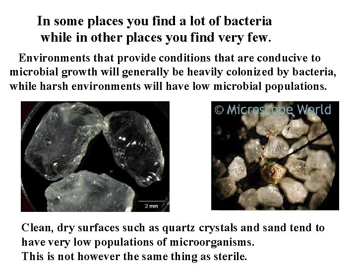 In some places you find a lot of bacteria while in other places you