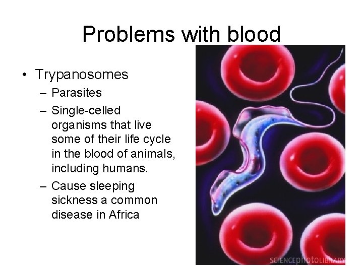 Problems with blood • Trypanosomes – Parasites – Single-celled organisms that live some of