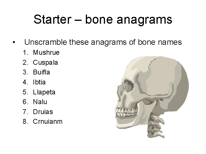 Starter – bone anagrams • Unscramble these anagrams of bone names 1. 2. 3.