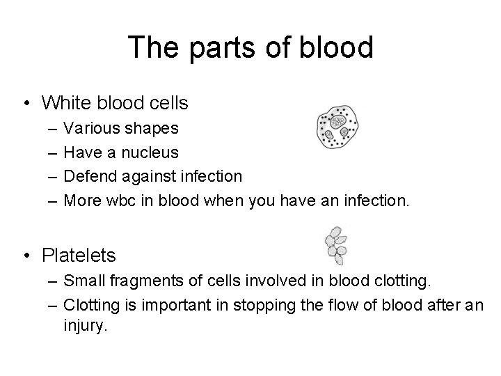 The parts of blood • White blood cells – – Various shapes Have a