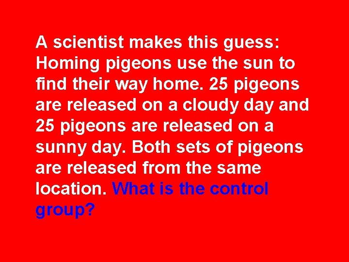 A scientist makes this guess: Homing pigeons use the sun to find their way