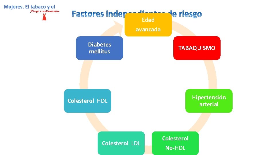 Edad avanzada Diabetes mellitus TABAQUISMO Hipertensión arterial Colesterol HDL Colesterol LDL Colesterol No-HDL 