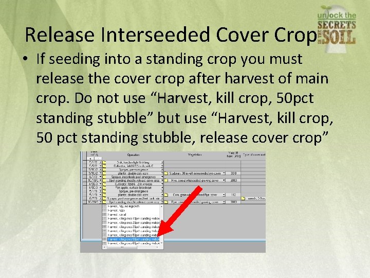 Release Interseeded Cover Crop • If seeding into a standing crop you must release