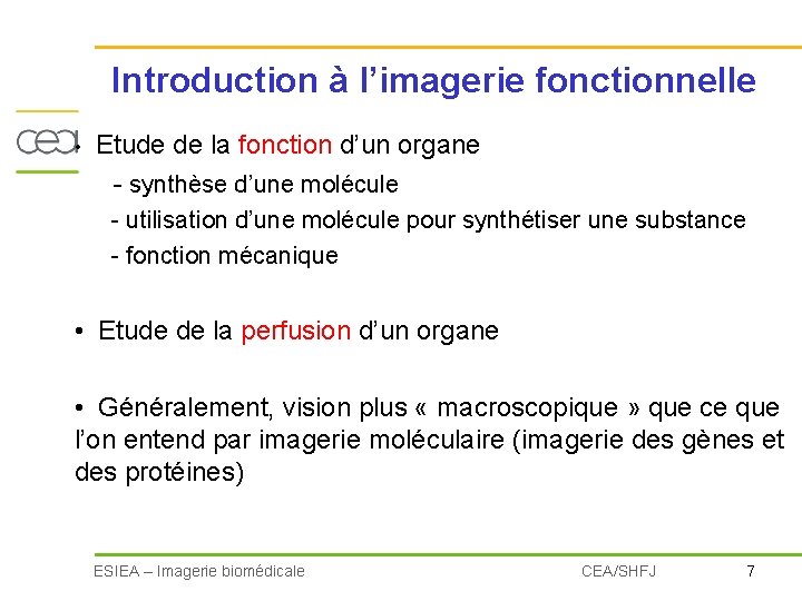 Introduction à l’imagerie fonctionnelle • Etude de la fonction d’un organe - synthèse d’une