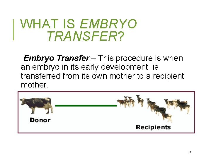 WHAT IS EMBRYO TRANSFER? Embryo Transfer – This procedure is when an embryo in