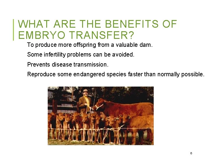 WHAT ARE THE BENEFITS OF EMBRYO TRANSFER? To produce more offspring from a valuable
