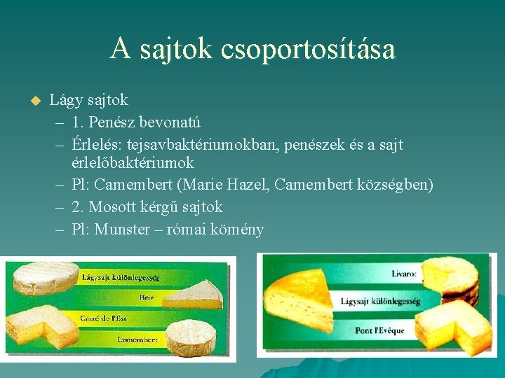 A sajtok csoportosítása u Lágy sajtok – 1. Penész bevonatú – Érlelés: tejsavbaktériumokban, penészek