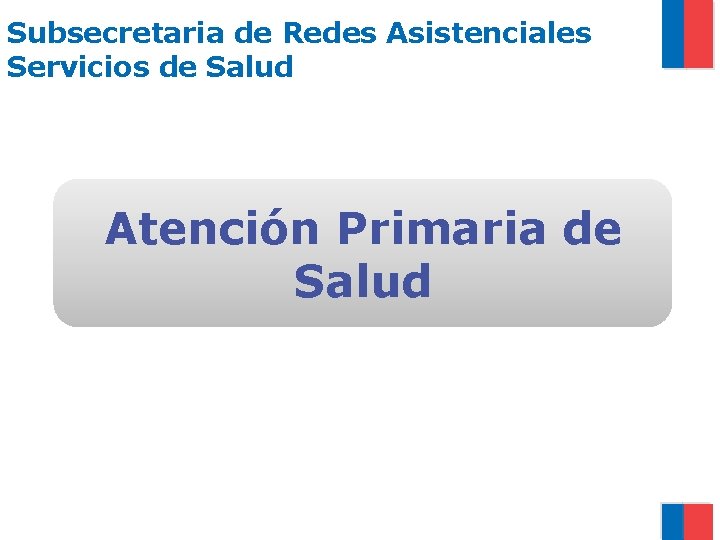 Subsecretaria de Redes Asistenciales Servicios de Salud Atención Primaria de Salud 