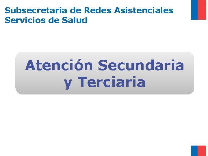 Subsecretaria de Redes Asistenciales Servicios de Salud Atención Secundaria y Terciaria 