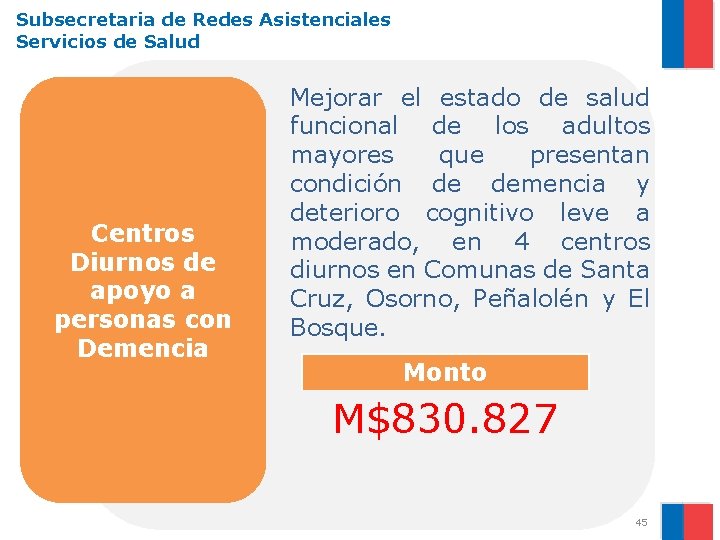 Subsecretaria de Redes Asistenciales Servicios de Salud Centros Diurnos de apoyo a personas con