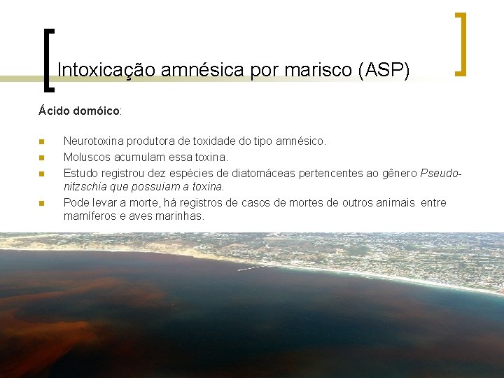 Intoxicação amnésica por marisco (ASP) Ácido domóico: n n Neurotoxina produtora de toxidade do