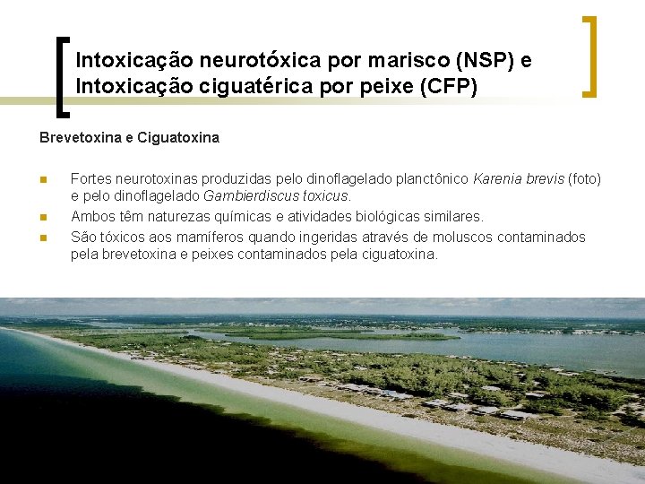 Intoxicação neurotóxica por marisco (NSP) e Intoxicação ciguatérica por peixe (CFP) Brevetoxina e Ciguatoxina