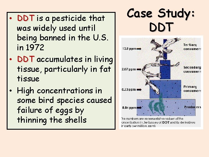  • DDT is a pesticide that was widely used until being banned in