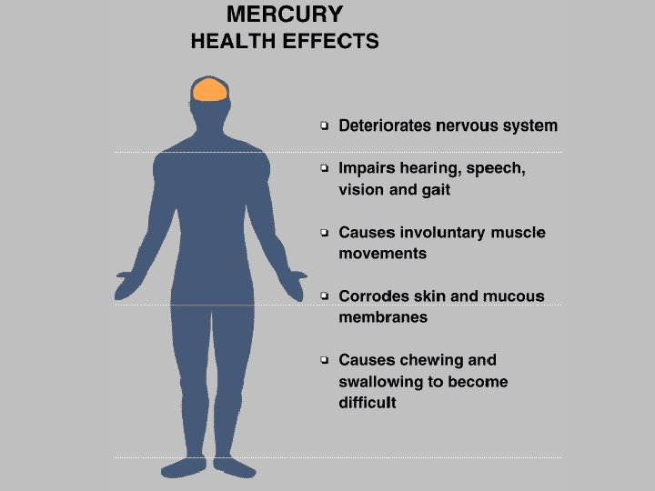 Mercury Health Effects 