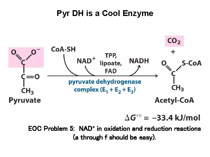 Pyr DH is a Cool Enzyme EOC Problem 5: NAD+ in oxidation and reduction