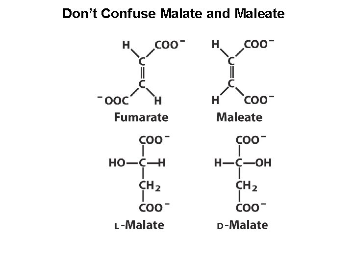 Don’t Confuse Malate and Maleate 