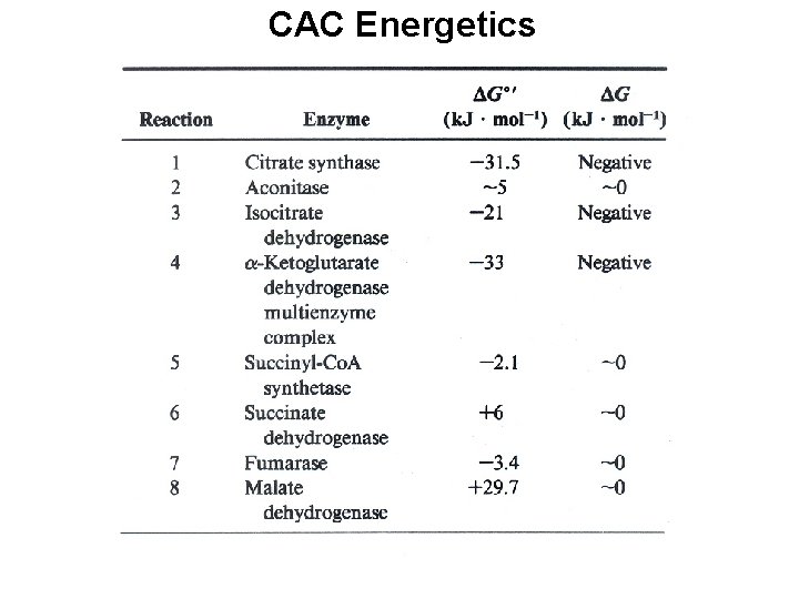 CAC Energetics 