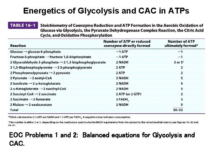 Energetics of Glycolysis and CAC in ATPs EOC Problems 1 and 2: Balanced equations