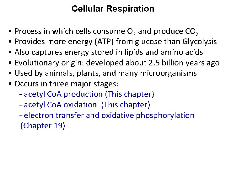 Cellular Respiration • Process in which cells consume O 2 and produce CO 2