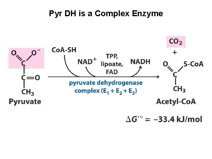 Pyr DH is a Complex Enzyme 