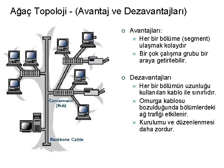 Ağaç Topoloji - (Avantaj ve Dezavantajları) ¢ Avantajları: l Her bir bölüme (segment) ulaşmak