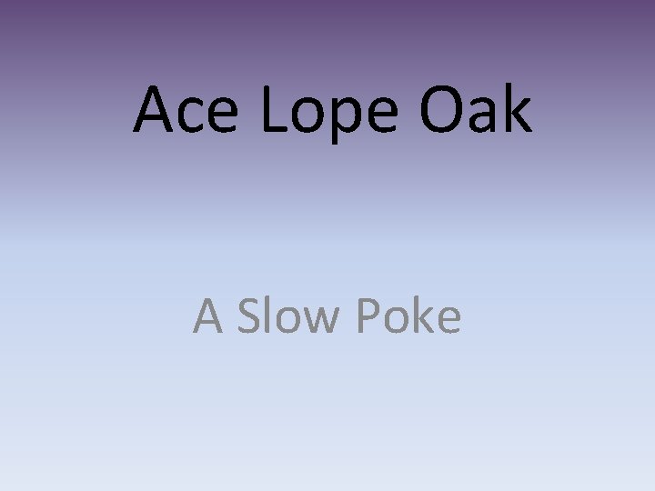 Ace Lope Oak A Slow Poke 